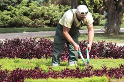 Phát hiện chồng dan díu với anh thợ làm vườn, cách xử lý của người vợ khiến gã chồng bức xúc mà không làm gì được