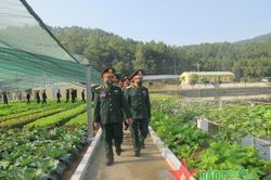 Khai mạc, chấm thi 'Doanh trại chính quy, xanh, sạch, đẹp' tại Lữ đoàn Công binh 414 (Quân khu 4)