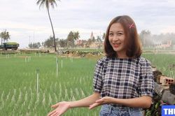 Đặc sản và những thắng cảnh độc đáo ở Lý Sơn