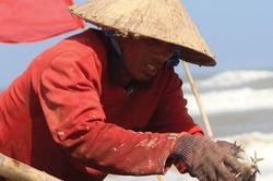 Kinh tế Nông nghiệp - Nông thôn Dòng nước… nghịch lý
