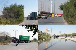 Nhiều người tử nạn trên tuyến đường cây dại mọc như rừng ở Hải Phòng