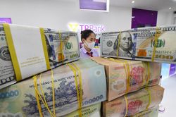 Giá USD tăng lên mức cao nhất trong một năm