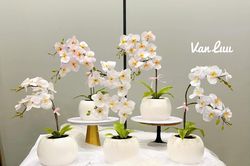 8X làm bánh kem hoa lan giống như thật khiến bao người thán phục
