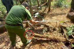 Máu và mảnh áo cháy sém bên giếng của cô gái mất tích ở Bà Rịa - Vũng Tàu
