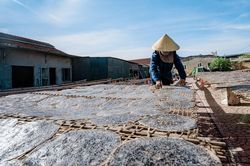 'Bánh đa xúc hến Đô Lương thơm lừng...'