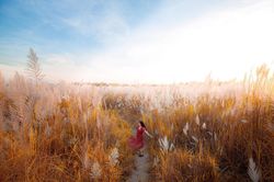 Hà Nội... những ngày mùa đông