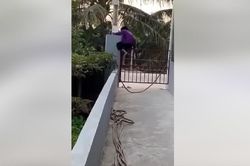 Clip: Cụ bà 100 tuổi thoăn thoắt trèo ra khỏi cổng nhà khiến dân tình cười ngặt nghẽo