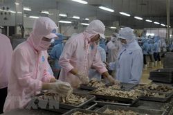 ICAEW: Việt Nam dự kiến sẽ có mức tăng trưởng cao vào năm 2022