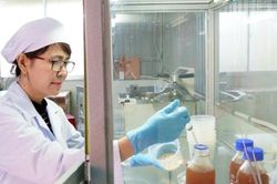 Yến vương tiên dược thảo - sản phẩm OCOP của Đà Lạt