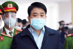 Ông Nguyễn Đức Chung phủ nhận Arktic là công ty 'sân sau' của gia đình