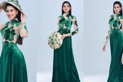 Hoa hậu Đỗ Thị Hà tung loạt ảnh áo dài lấy ý tưởng từ rau má