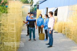 Tuổi trẻ Kim Sơn xung kích trong phát triển kinh tế