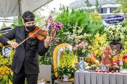 Con rể kéo vĩ cầm 'ru' giấc ngàn thu nhạc sĩ Phú Quang