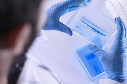 Vaccine giúp loại bỏ các tế bào lão hóa
