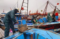 Bão Rai sắp vào Biển Đông, Quảng Nam, Đà Nẵng cấm tàu thuyền ra khơi