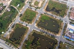 Đấu giá đất hàng chục nghìn tỷ ở Thủ Thiêm tác động đến thị trường thế nào?