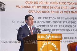 Lễ mít tinh kỷ niệm 5 năm quan hệ Đối tác chiến lược toàn diện Việt Nam - Ấn Độ