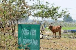 Củ Chi kiến nghị dừng dự án Sài Gòn Safari chuyển thành Khu công nghiệp kỹ thuật cao