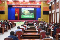 Quy hoạch Gia Lai trở thành hình mẫu của nền kinh tế phát triển bền vững