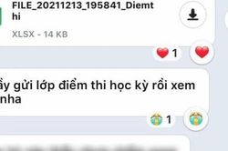 Thầy giáo gửi file điểm thi học kỳ, cả lớp hí hửng mở ra xem, nào ngờ là 'một cú lừa'