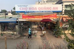 Sắc đào nở rộ tại chợ hoa Quảng An trước thềm năm mới