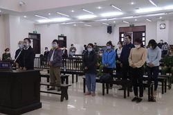 Xét xử vụ bằng giả ĐH Đông Đô: Cựu Hiệu trưởng lĩnh án