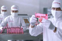 Châu Âu nâng tần suất kiểm tra mì ăn liền từ Việt Nam lên 20%