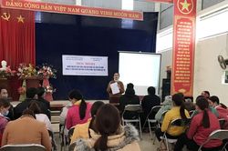 Đánh giá mô hình cải tiến tổ chức quản lý sản xuất quế hữu cơ tại Bản Cái