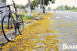 Lặng lẽ là một món quà