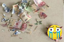 Cất tiền kỹ quá, cô gái khóc hận khi thấy hậu quả, phần 'khuyến mãi' nhìn mà tức