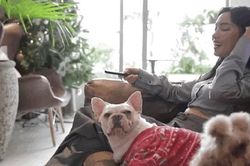 Căn hộ 94m2 vô vàn góc chill của Châu Bùi: Có rổ tuyệt chiêu biến mọi góc thành sàn diễn, style vintage ngắm một lần là liêu xiêu