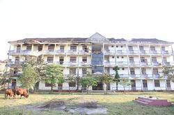 Bò 'đi dạo' trong ngôi trường hơn chục tỷ bỏ hoang ở Hà Tĩnh
