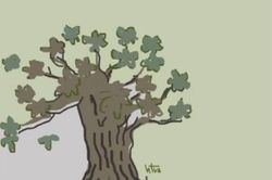 Văn hóa - Nghệ thuật Nghĩ về cây mưng