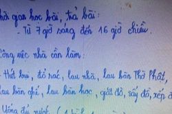 Những tình huống pháp lý vụ bé gái 8 tuổi tử vong nghi bị người tình của bố bạo hành