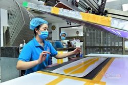 'Không ngủ quên trên vòng nguyệt quế'
