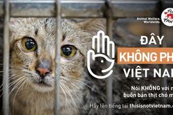 Phát động chiến dịch 'nói không với nạn buôn bán thịt chó, mèo'