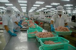 Phòng vệ thương mại trong xuất khẩu thủy sản: Doanh nghiệp đừng xem nhẹ
