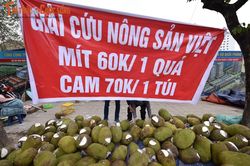 Ùn tắc cửa khẩu, hàng chục tấn mít quay đầu về Hà Nội chờ 'giải cứu'
