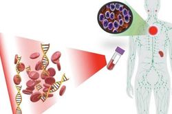 Phương pháp xét nghiệm mới xác định phản ứng vaccine trước khi hình thành kháng thể