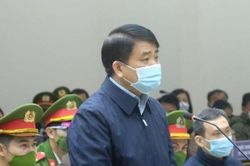 Ông Nguyễn Ðức Chung phủ nhận bị 'giật dây'