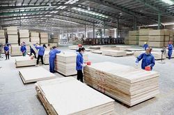 Người Việt bán 1 món hàng thu về 16 tỷ USD: Lập kỷ lục lịch sử