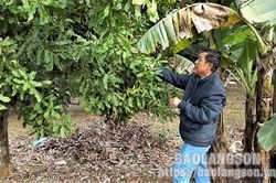Cựu chiến binh tiên phong làm giàu từ cây mắc caTin khácNgành dân số Lạng Sơn: 60 năm xây dựng và phát triểnĐội Việt Nam tuyên truyền giải phóng quân - lực lượng tiền thân của Quân đội Nhân dân Việt Nam