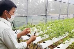 Đời sống Hào 'rau' ở xóm núi