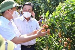 Nông nghiệp thích ứng linh hoạt, tăng trưởng đạt và vượt nhiều chỉ tiêu phát triển