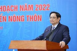 Thủ tướng Phạm Minh Chính: Nông nghiệp là trụ đỡ, đóng góp quan trọng vào tăng trưởng chung của nền kinh tế