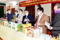 16 sản phẩm nông nghiệp được xếp hạng OCOP 4 sao