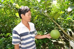 Châu Thành nỗ lực xây dựng nông thôn mới