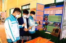 Có 68 dự án đạt giải tại Cuộc thi KHKT cấp tỉnh dành cho học sinh trung học