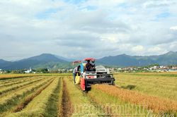 Kịch bản cho nông nghiệp sau dịch bệnh