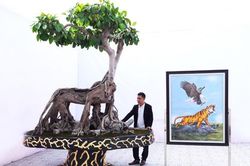 Nhặt hạt về trồng, ai ngờ thành siêu cây cổ quái 30 tỷ, đại gia Hải Dương nở mày nở mặt